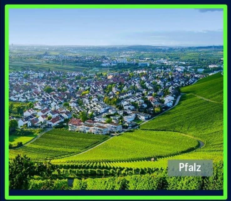 Ferienwohnung Forest & Wein Neustadt an der Weinstraße Room photo